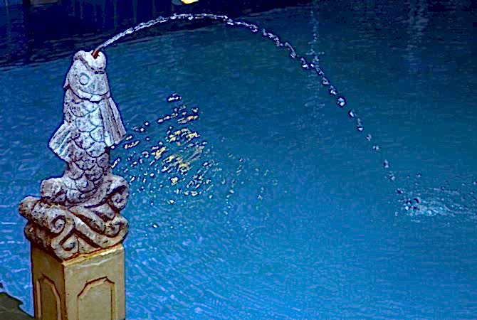 Curved stream of water spouting gracefully from a stone fish shaped fountain, creating a serene atmosphere in a vibrant blue pool